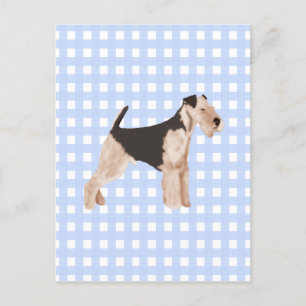 Airedale Terrier Blue Gingham Postcard