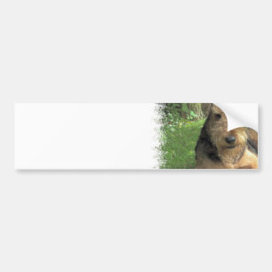 Airedale Terrier Bumper Sticker