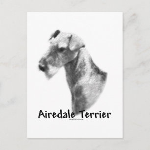 Airedale Terrier Charcoal Postcard