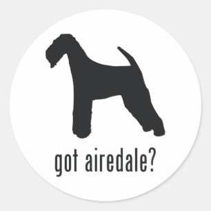 Airedale Terrier Classic Round Sticker