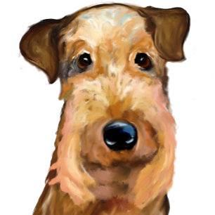 AIREDALE   TERRIER   CUSHION