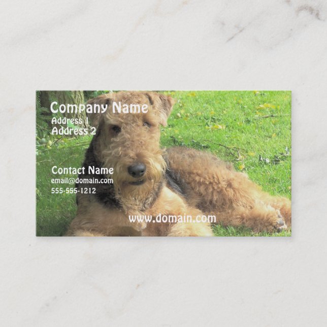Airedale Terrier Dog Business Card (Front)