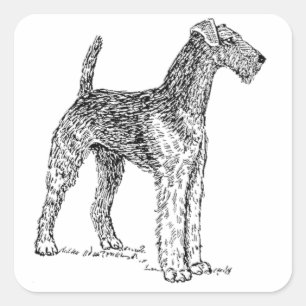 Airedale Terrier Elegant Dog Drawing Square Sticker