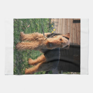 Airedale_Terrier full.png Tea Towel