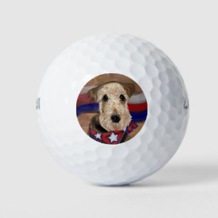  AIREDALE TERRIER        GOLF BALLS
