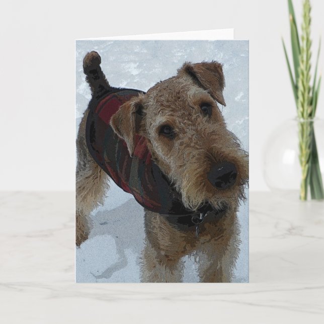 Airedale Terrier Greeting Card (Front)