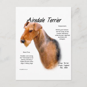 Airedale Terrier History Postcard