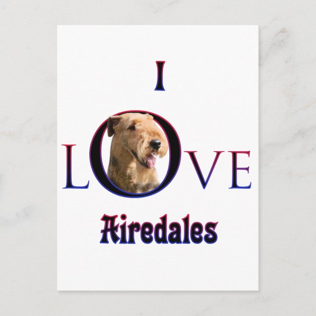 Airedale Terrier I Love Postcard (Front)