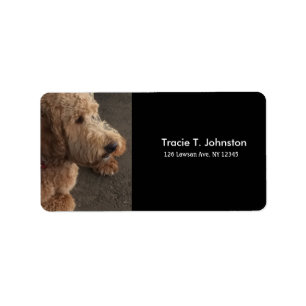 Airedale Terrier New Address Label