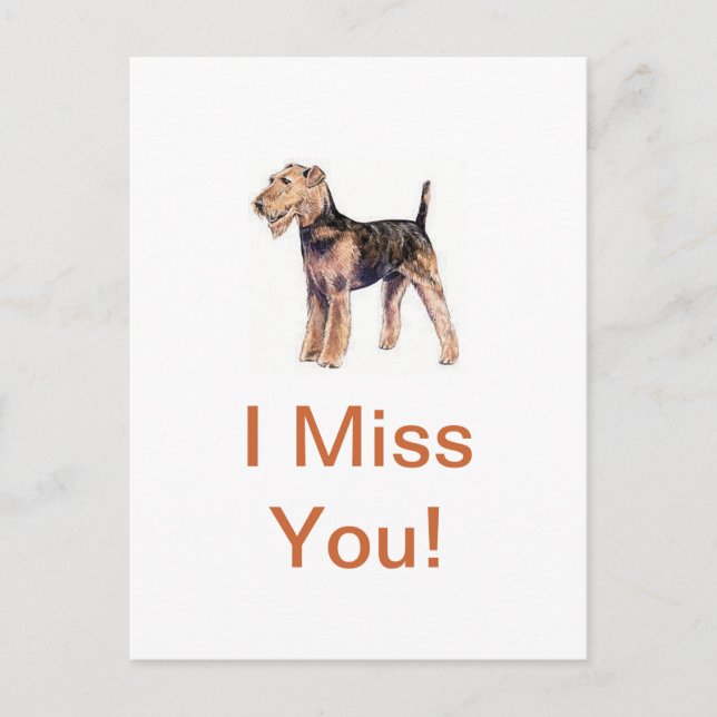 Airedale Terrier Postcard (Front)
