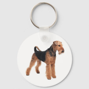Airedale Terrier Puppy Dog Budget Keychain