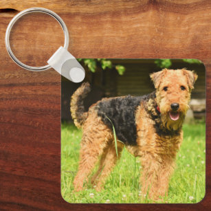 Airedale Terrier Puppy Dog Key Ring