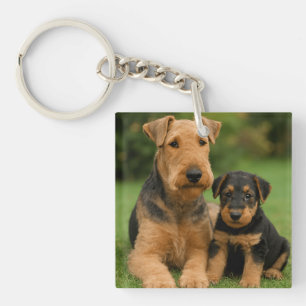 Airedale Terrier With Puppy Key Ring