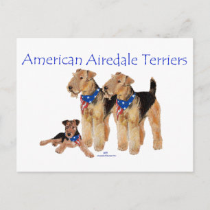 Airedale Terriers American Flag Postcard