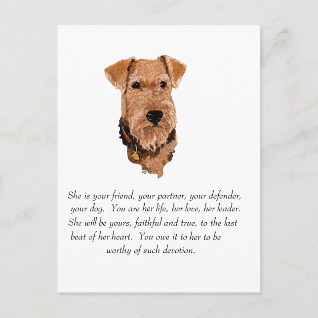 Airedale, Welsh, Lakeland Terrier Keepsake Postcard (Front)