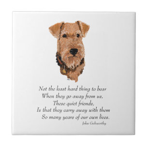 Airedale, Welsh, Lakeland Terrier Keepsake Tile