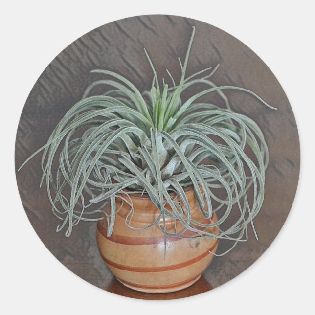 Airplant Oaxacana Classic Round Sticker (Front)
