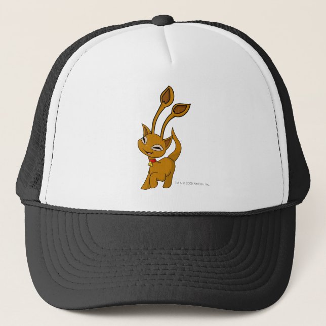 Aisha Brown Trucker Hat (Front)