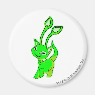 Aisha Glowing Magnet