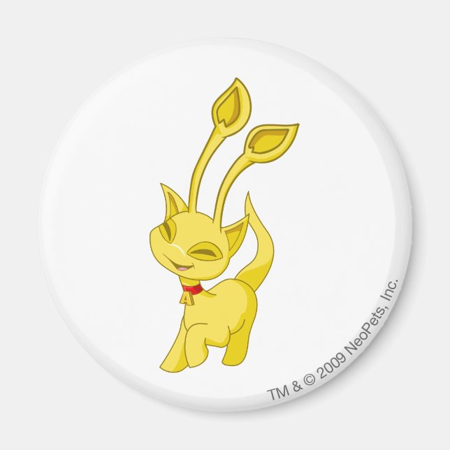 Aisha Gold Magnet (Front)