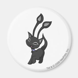 Aisha Shadow Magnet