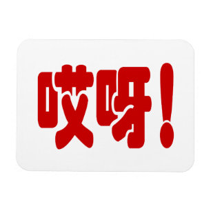 Aiya! 哎呀! OMG! Chinese Hanzi Language Magnet