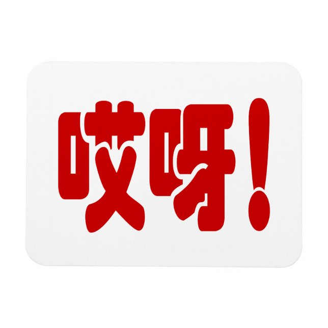 Aiya! 哎呀! OMG! Chinese Hanzi Language Magnet (Horizontal)