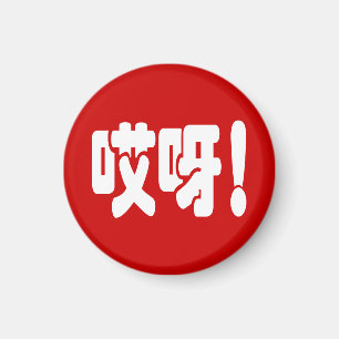 Aiya! 哎呀! OMG! Chinese Hanzi Language Magnet