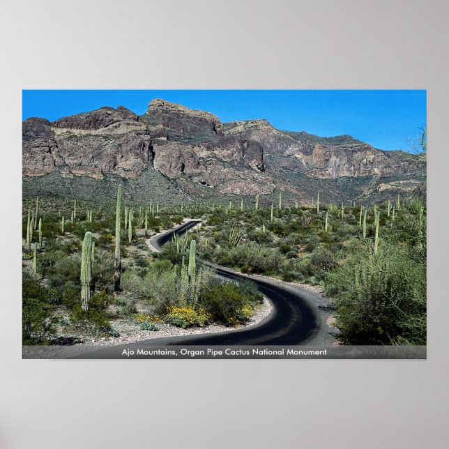Ajo Mountains, Organ Pipe Cactus National Monument Poster (Front)