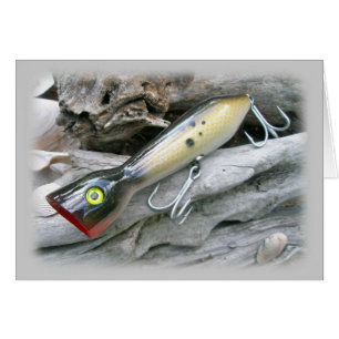 AJS Saltwater Lure Popper Coordinating Items