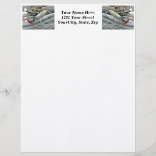 AJS Saltwater Lure Popper Mullet Letterhead