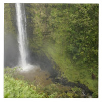 Akaka Falls, Hamakua Coast, Island of Hawaii,