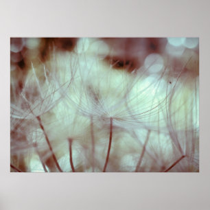 Akeen forest poster