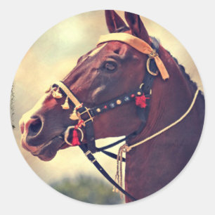 Akhal Teke Classic Round Sticker