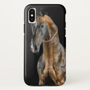 Akhal-Teke Horse iPhone X Case
