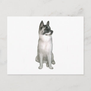 Akita (A) - (black mask) Postcard