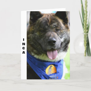 Akita card