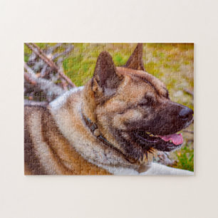 Akita Dogs. Jigsaw Puzzle