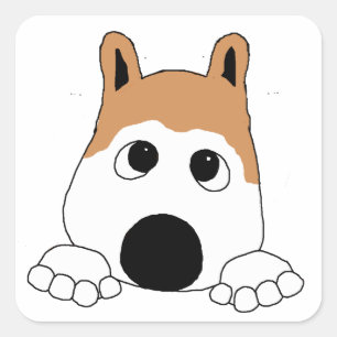 akita fawn peeking square sticker