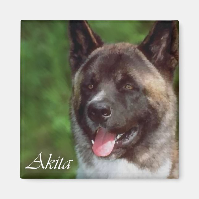 Akita Gifts Magnet (Front)