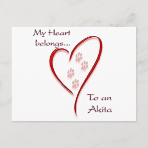 Akita Heart Belongs Postcard