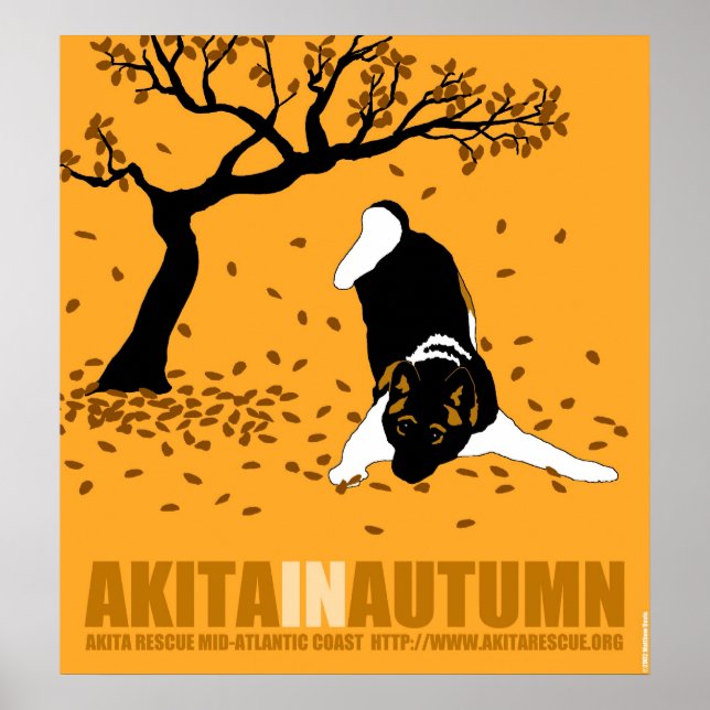 Akita In Autumn (30" x 32.5") Poster (Front)