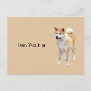 Akita Inu   Postcard