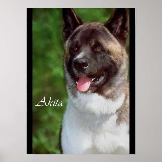 Akita Lovers Posters and Prints (Front)