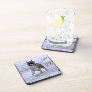 Akita Pup Coaster