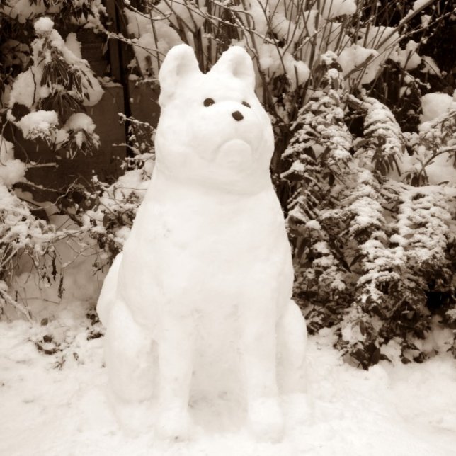 akita snowman scenic snow scene funny christmas holiday card (Creator Uploaded)