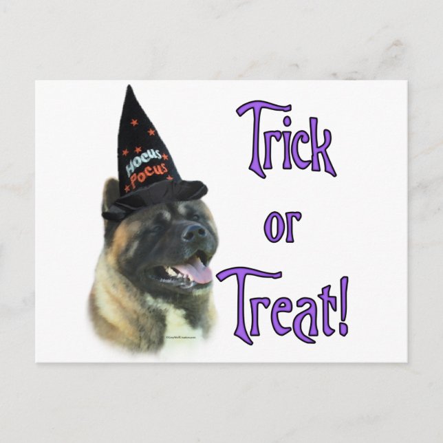 Akita Trick Postcard (Front)