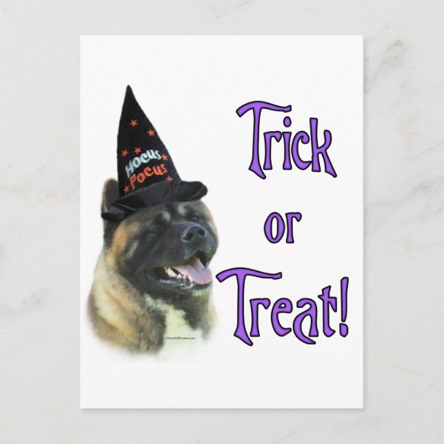 Akita Trick Postcard (Front)