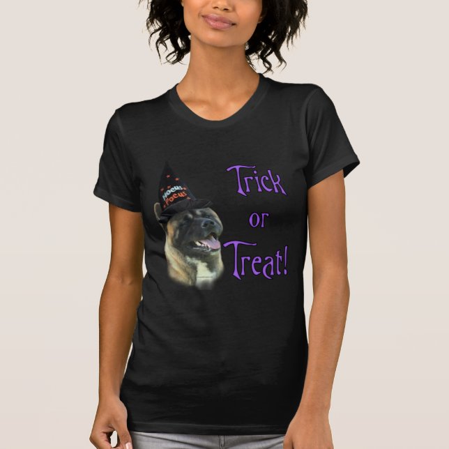 Akita Trick T-Shirt (Front)