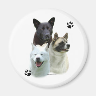 Akita Trio - Magnet